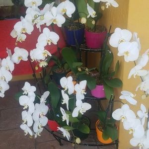 Meet your Posher, Haylee